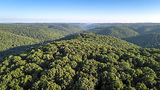 U.S. Forest Service International Program Faces Significant Funding Reduction in FY2027 Request