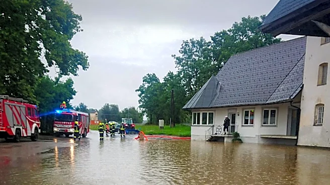FEMA Designates 76 Michigan Counties as Natural Disaster Areas, Activating Emergency Loans for Farmers