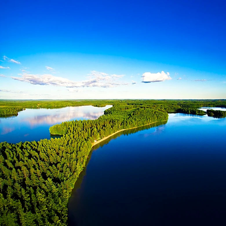 Deep Woods Ranch Airstrip Expansion Raises Wildlife Concerns in Lake County, Florida
