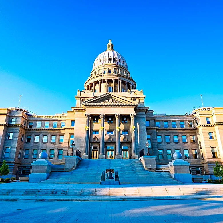 Idaho State Legislature to Consider Public Preference on State Gun After Non-Binding Vote