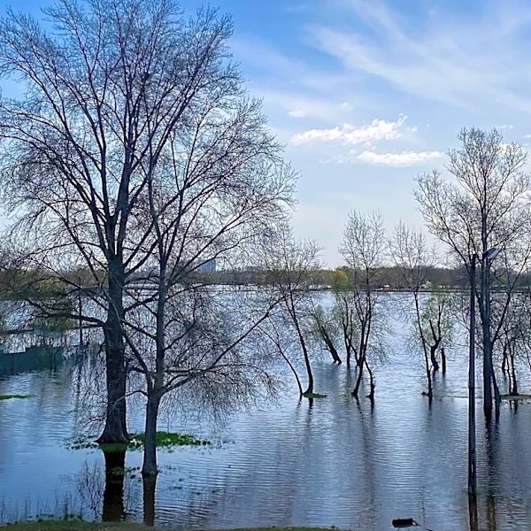 Des Moines Flood Risk Decreases as Raccoon River Crest Forecast Lowered