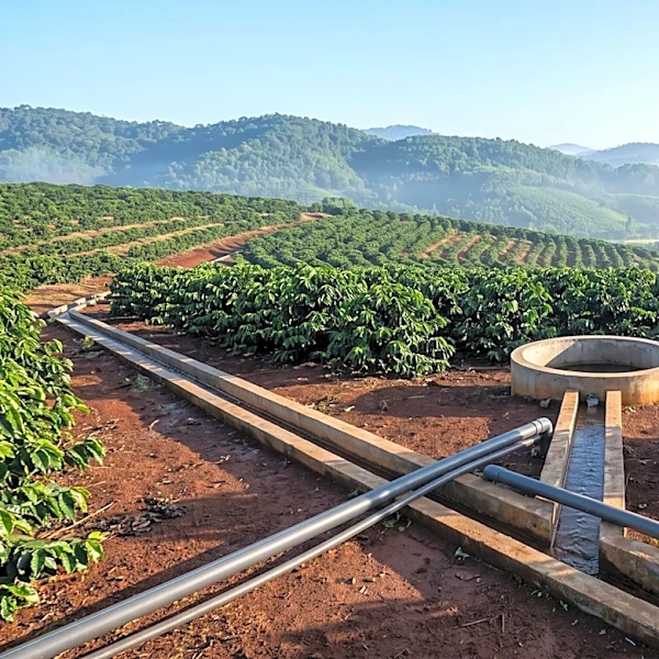 IWMI Introduces Managed Aquifer Recharge to Combat Water Shortages for Vietnamese Coffee Farmers