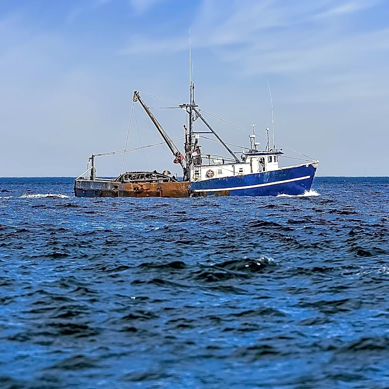 Report Reveals 'Mega-Industrial' Trawlers Threaten European Ocean Health and Food Security