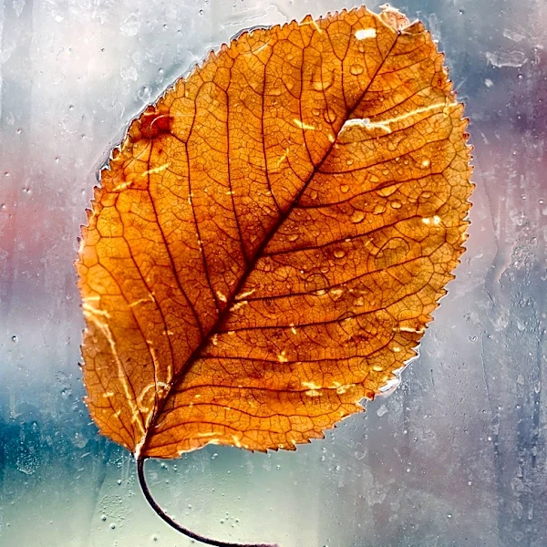 October Begins with Warm Temperatures and Approaching Rain in West Virginia