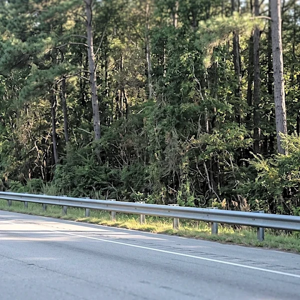 Montgomery County Deputies Search for Driver Fleeing I-24 Crash in Clarksville