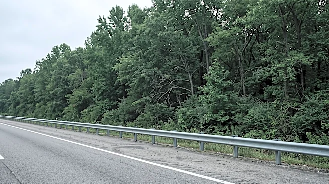 Montgomery County Sheriff's Office Searches for Driver Fleeing I-24 Crash