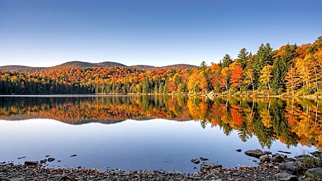 Vermont State Government Seeks Grants Administrator for Forests, Parks and Recreation Department