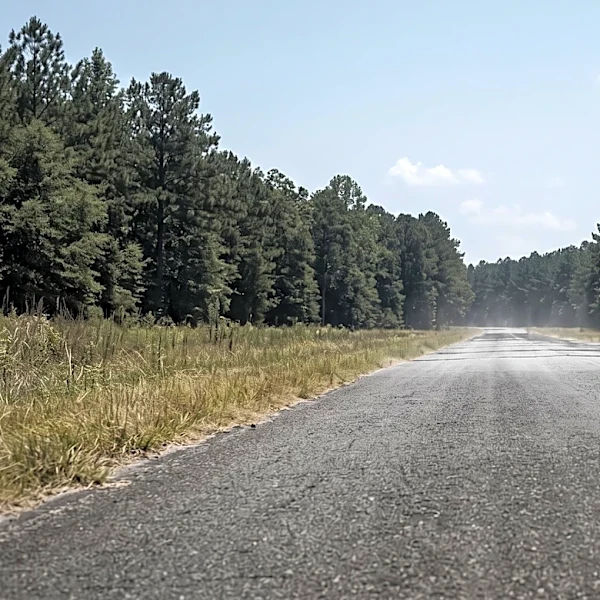 NPR Research Indicates North Carolina Heat-Related Deaths Significantly Underreported