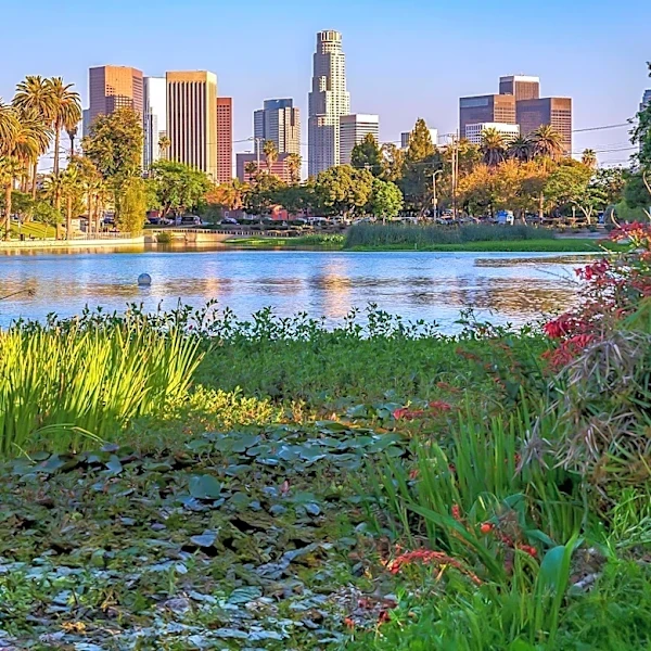 Los Angeles Launches Stormwater Capture Program to Boost Local Water Supply