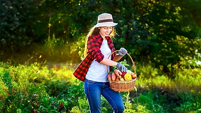 UAMS Community Health Workers Address Food Insecurity in Rural Arkansas Through Gardening Initiatives