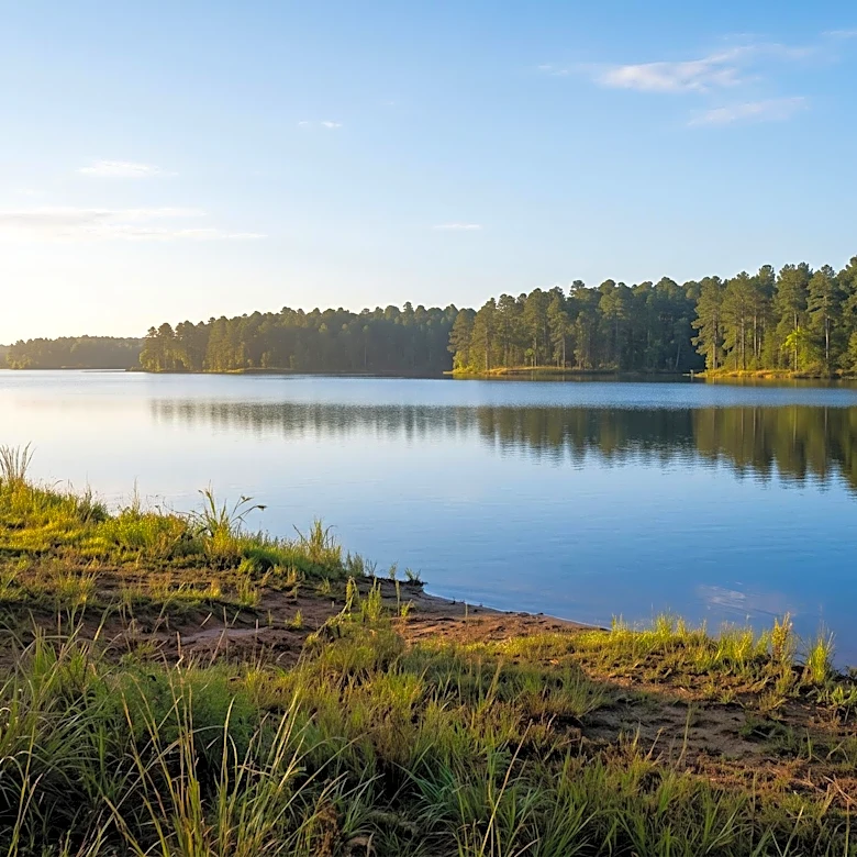 New Texas State Park Planned After $10 Million Lake Palestine Land Acquisition