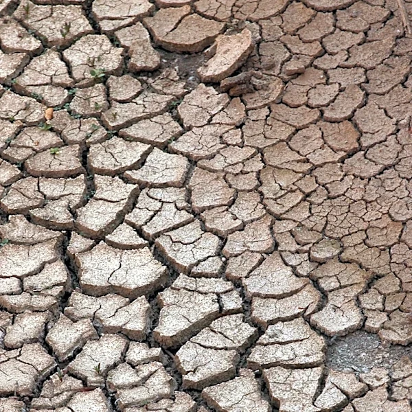 Global Water Scarcity Poses Significant Threats to Public Health, Economies, and Trade