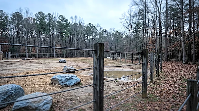 New Documents Raise Questions About Natural Bridge Zoo Elephant Transfer Ahead of Virginia Raid