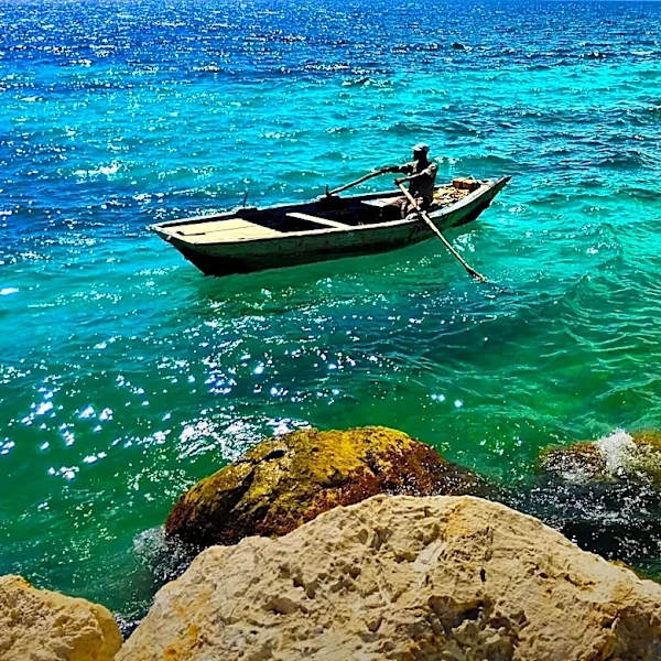 Caribbean Regional Fisheries Mechanism to Promote Fishery-Centered Blue Economy with JICA Collaboration