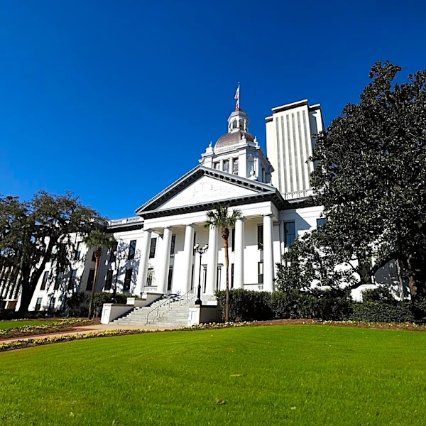 Florida Statute Regulates Ether Manufacturing, Distribution, and Purchase