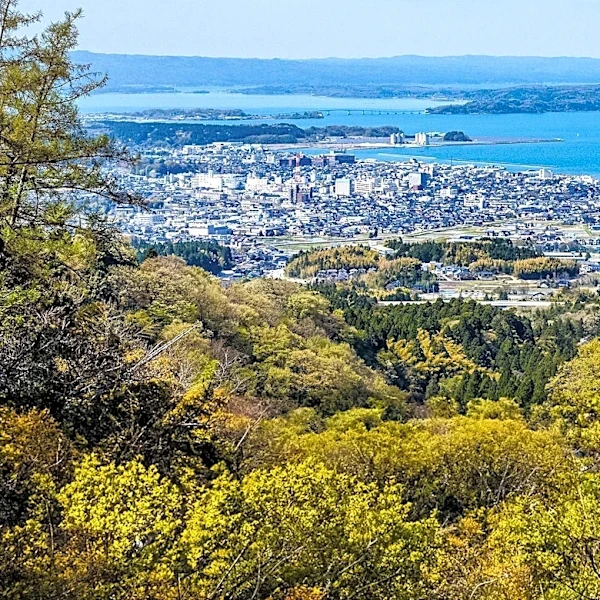 Chesapeake Bay Region Offers Diverse Road Trip Experiences Across Multiple States
