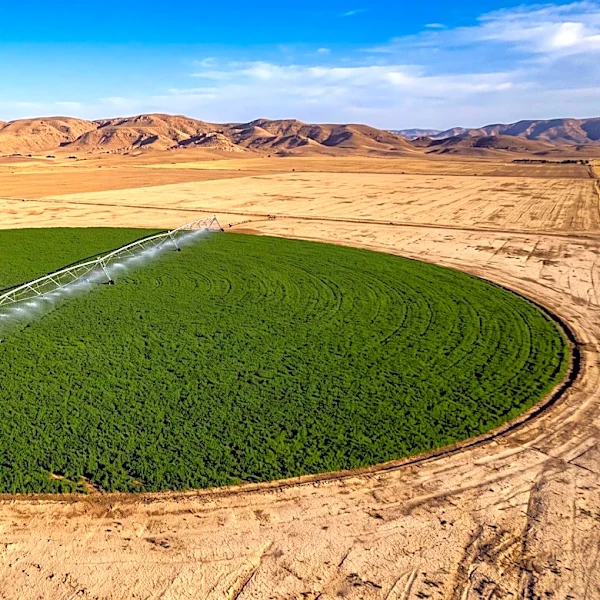 New AgriShield-JO Index to Track Jordan's Food Security Risks Annually