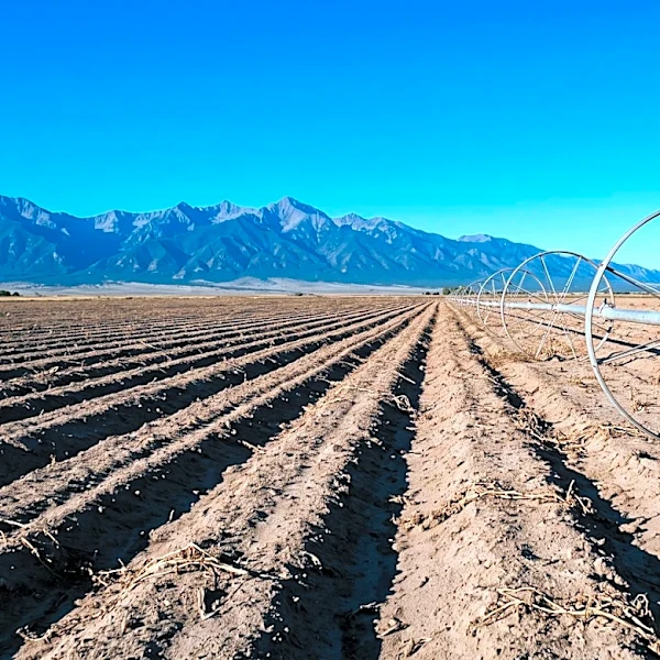 Colorado's San Luis Valley Potato Farmers Face Existential Threat from Aquifer Depletion and Rising Water Costs