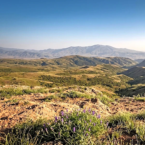 IUCN to Participate in UN Biodiversity Conference CBD COP17 in Armenia