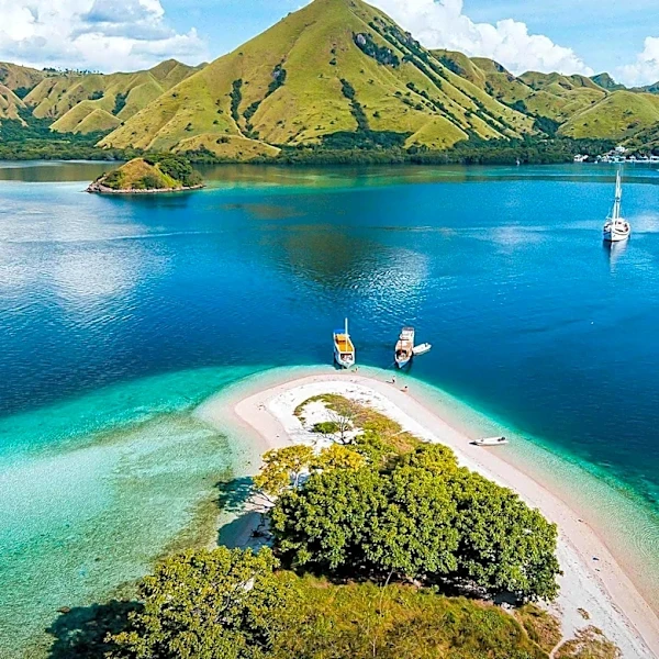 Asia-Pacific Region Shows Strongest Improvement in Tourism Readiness for 2026