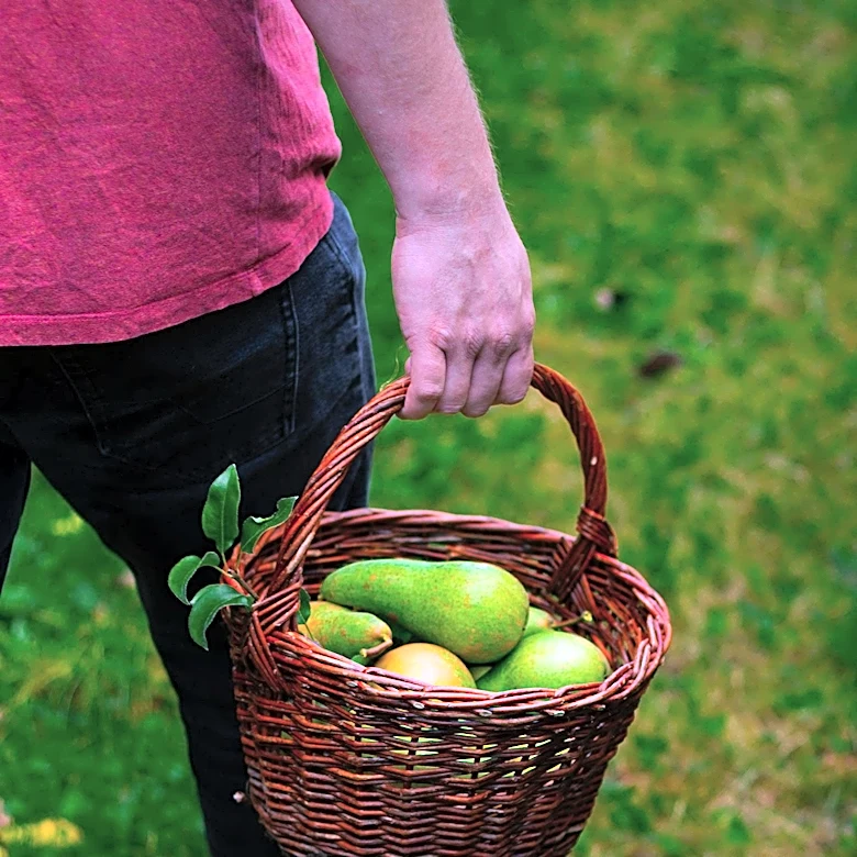 Hunting and Foraging Classes Gain Popularity Across U.S. Amidst Growing Interest in Wild Foods