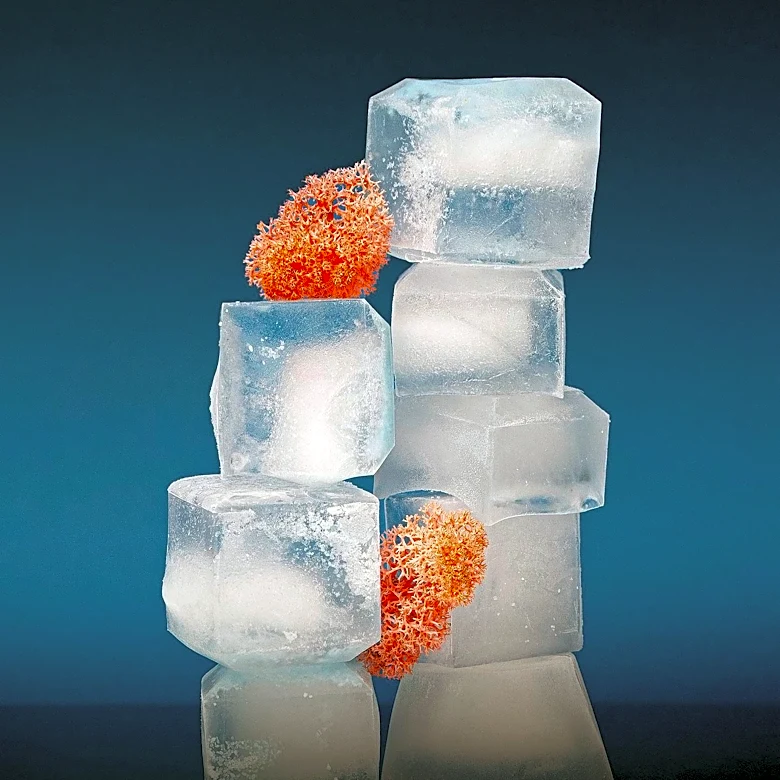 Israeli Researchers Develop 'BioPykrete,' a Super Ice 10 Times Stronger Than Regular Ice