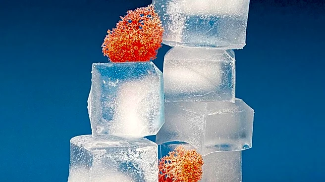 Israeli Researchers Develop 'BioPykrete,' a Super Ice 10 Times Stronger Than Regular Ice