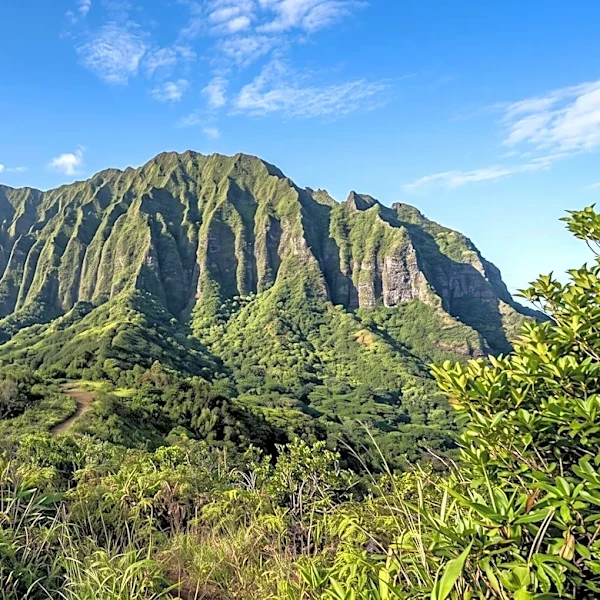Latter-day Saint Population in Hawaii Shows Growth and Increasing Diversity