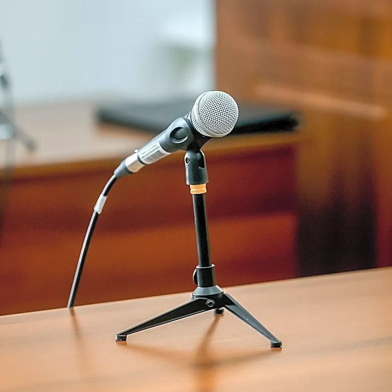 Illinois State Bar Association Program Addresses Ageist and Ableist Language in Legal Profession