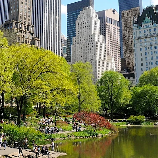 New York City Embraces Green Infrastructure to Combat Climate Pressures and Enhance Urban Ecosystems