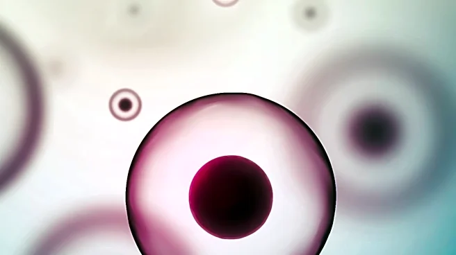 New Imaging Method Links Tumor Cell Spatial Organization to Cancer Outcomes
