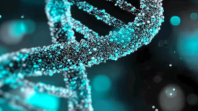 Cornell University Researchers Discover Mobile Human Gene BC200 with Potential Genomic Impact