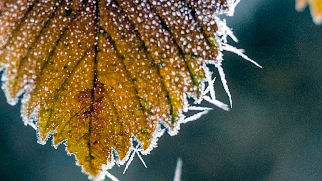 Frost Advisory Issued for Parts of Pennsylvania and New Jersey