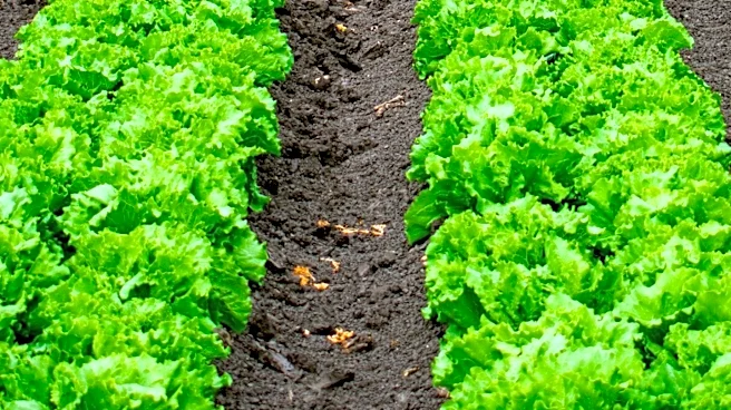 Debate Continues on Land Sparing vs. Land Sharing for Sustainable Agriculture and Conservation