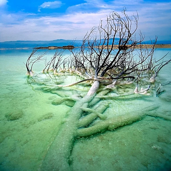 Crystallized Salt Formations at Türkiye's Tuz Lake Attract Photographers