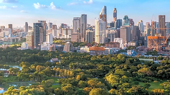 Investment in Urban Woodlands Linked to Reduced Antidepressant Use in Deprived Communities