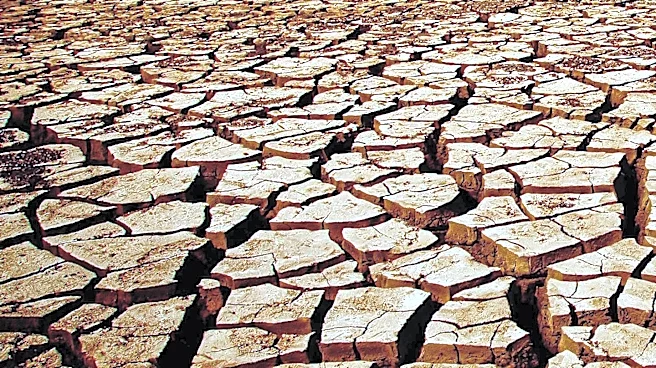 Climate Extremes Drive Drug-Resistant Cholera Threat in Kenya