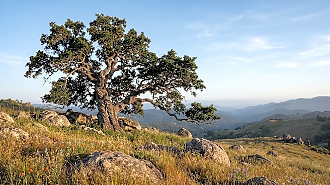 ‘ataaxum Pomkwaan Expands Native Youth Programs with San Diego Foundation Grant