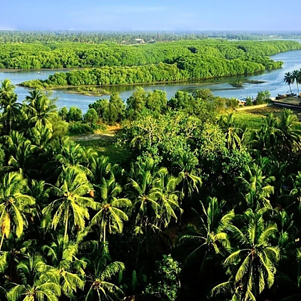 Andhra Pradesh Deputy Chief Minister Inaugurates Six New Urban Forests to Boost Eco-Tourism and Create Tribal Employment