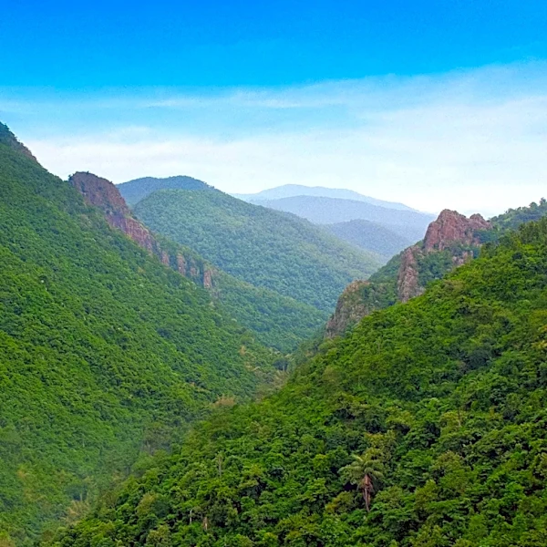 Andhra Pradesh Government Expands Eco-Tourism with Six New Urban Forests, Creating Tribal Job Opportunities