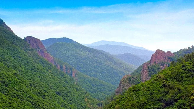 Andhra Pradesh Government Expands Eco-Tourism with Six New Urban Forests, Creating Tribal Job Opportunities