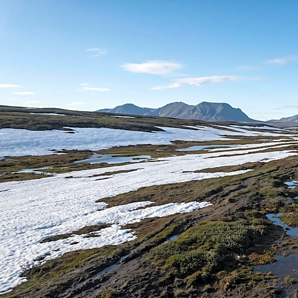 Rising Global Temperatures Intensify Emissions from Natural Systems, Amplifying Warming by 20-30 Percent