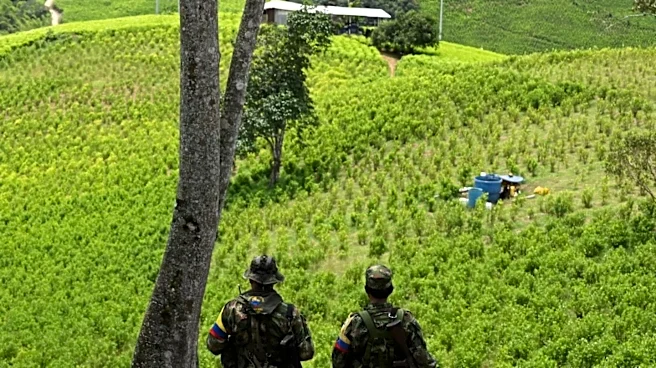 Interpol Operation Leads to 233 Arrests in Latin American Environmental Crime Crackdown