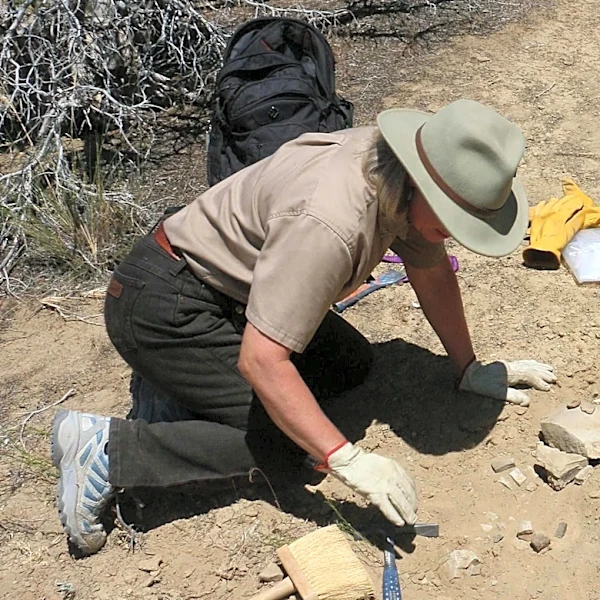 UC Riverside Researchers Study Wild Donkey Population to Improve Human-Animal Coexistence