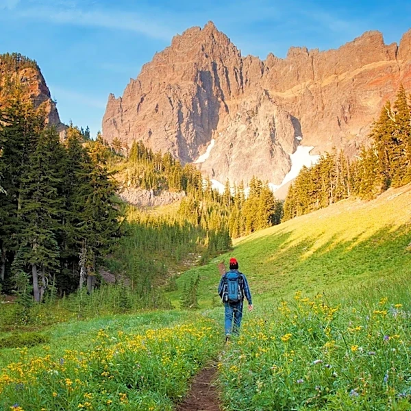 Oregon State Parks Offer Diverse Hiking Experiences Across the State