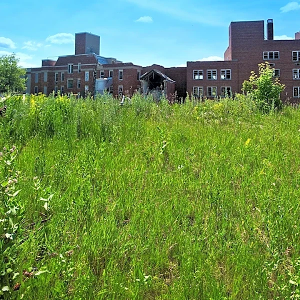 Kenosha City Development Unveils Plans for New Neighborhood and Park on Former School Site