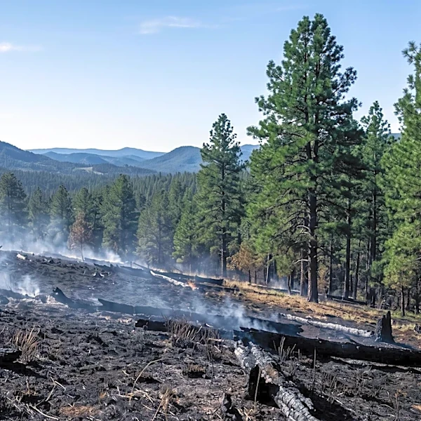 Santa Fe National Forest Plans Prescribed Burns as Frijoles Fire Nears Full Containment