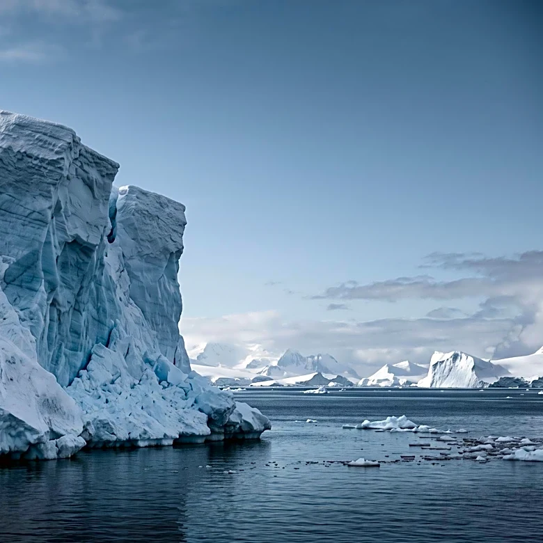 Scientists and Ocean Advocates Urge Boycott of Krill Products to Protect Antarctic Wildlife