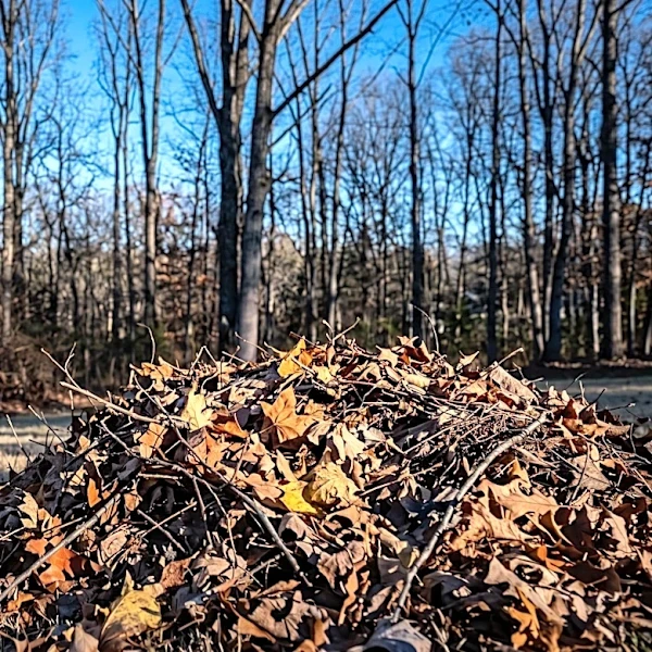 Tennessee Urges Residents to Follow Fire Prevention Best Practices as Wildfire Season Begins