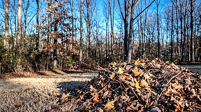 Tennessee Urges Residents to Follow Fire Prevention Best Practices as Wildfire Season Begins